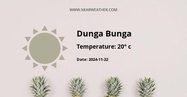 Weather in Dunga Bunga