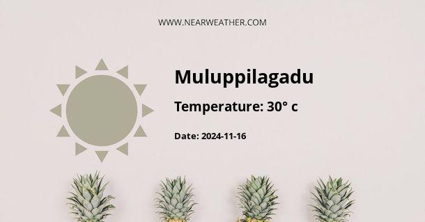 Weather in Muluppilagadu