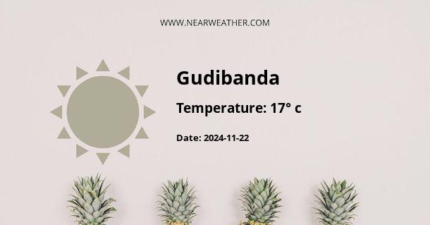 Weather in Gudibanda