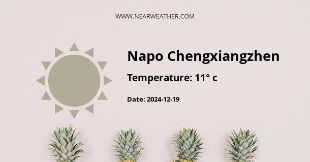 Weather in Napo Chengxiangzhen