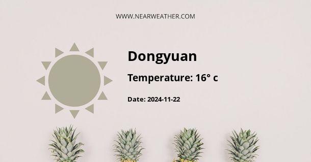 Weather in Dongyuan