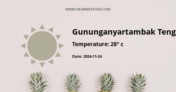 Weather in Gununganyartambak Tengah