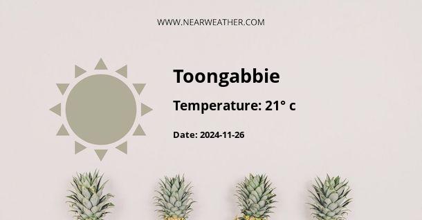 Weather in Toongabbie