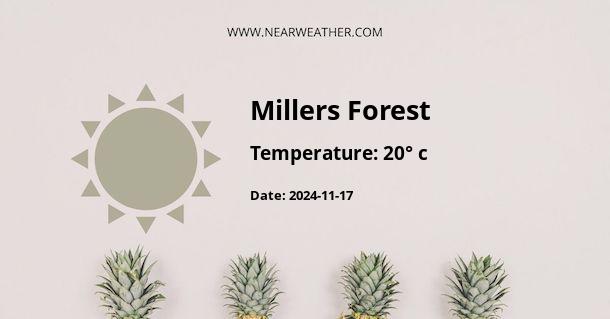 Weather in Millers Forest