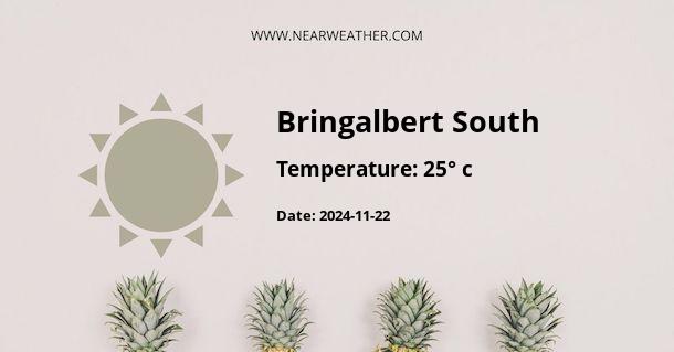 Weather in Bringalbert South