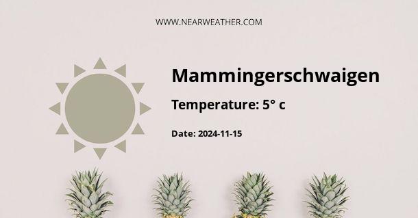 Weather in Mammingerschwaigen