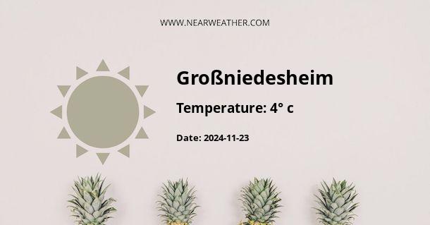 Weather in Großniedesheim