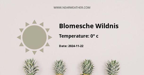 Weather in Blomesche Wildnis