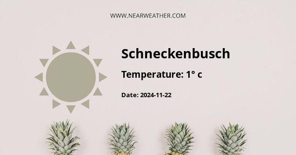 Weather in Schneckenbusch