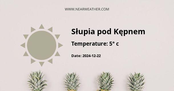 Weather in Słupia pod Kępnem