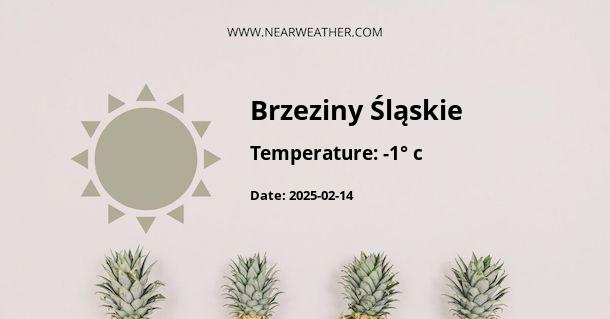 Weather in Brzeziny Śląskie