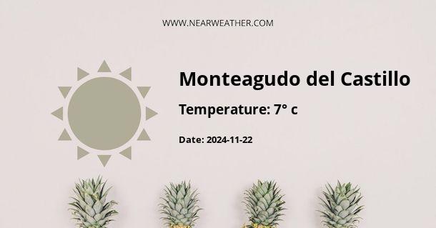 Weather in Monteagudo del Castillo