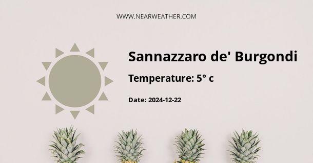 Weather in Sannazzaro de' Burgondi