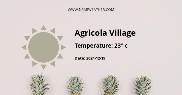 Weather in Agricola Village