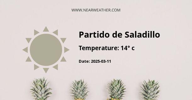 Weather in Partido de Saladillo