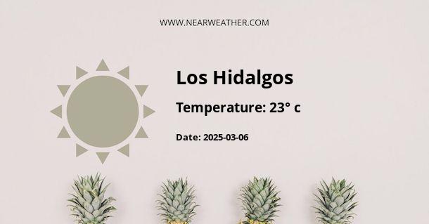 Weather in Los Hidalgos