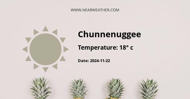 Weather in Chunnenuggee