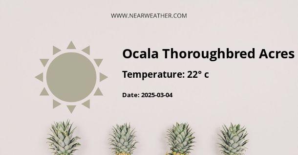 Weather in Ocala Thoroughbred Acres