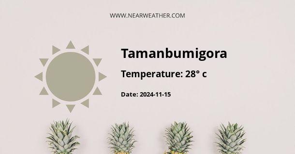 Weather in Tamanbumigora