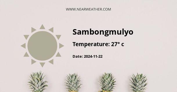 Weather in Sambongmulyo